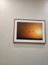 -北京米扬丽格医疗美容·联合丽格鼻整形中心