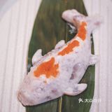 【贵阳首家】奶茶比火锅有名的呷哺呷哺