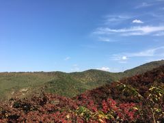 -龙道沟景区