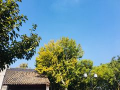 -苏州文庙(姑苏区)