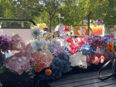 -布拉格餐厅· 中欧捷克菜(全国首店)