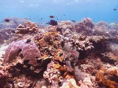 -卡帕莱度假村(西巴丹岛)