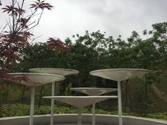 -中山市树木园