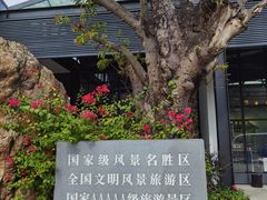 -广州市白云山风景名胜区