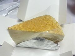 -鹏欣水游城
