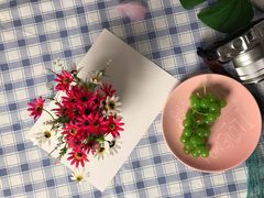 -红瓜子 影视后期 摄影摄像设计 新媒体运营技能培训(宝安校区)