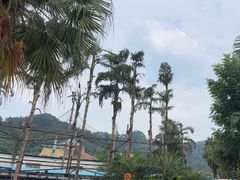 -重庆海昌加勒比海水世界