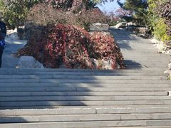 -大兴滨河森林公园