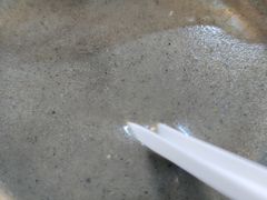 -谢怀亮芝麻茶