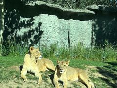 -北京野生动物园