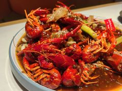 -杨氏青龙虾·羊蝎子(托乐嘉店)