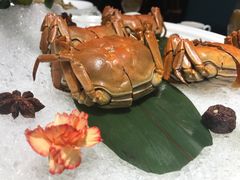 -听松楼·花园酒店·自助餐厅(红梅公园店)