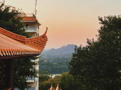 -深圳仙湖植物园