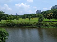 -深圳龙潭公园