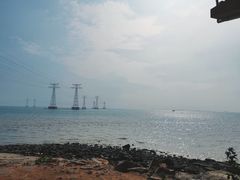 -宝安西湾红树林湿地公园