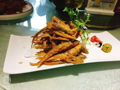 -浙C老邻舍(西城海错店)