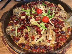 -老板恋上鱼(恒隆广场店)