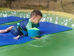 -杭州开元森泊度假乐园