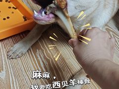 -西贝(万科云城店)