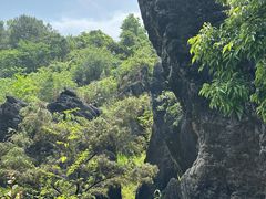-玉石林风景区