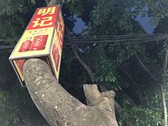 树下用餐-明记海鲜美食老字号(明记总店)