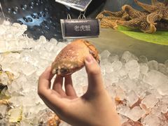 -乔哥铭洋海鲜自助(皇城恒隆广场店)