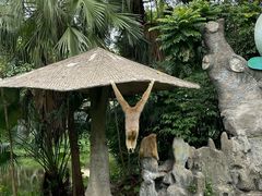 -深圳野生动物园
