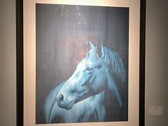 -上海虹桥当代艺术馆