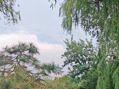 -淄博聊斋城景区