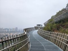 -福道