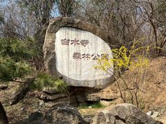 -白水寺森林公园