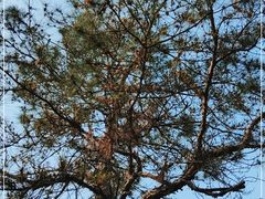 -中国移动南方基地