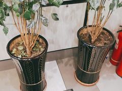 -德克士(密山店)