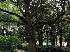-汇龙潭