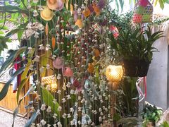 -Jungle Kitchen