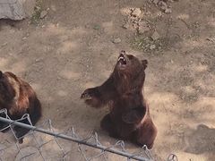 -石家庄市动物园