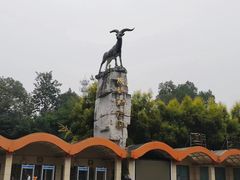 -成都动物园