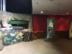 -上海海洋水族馆