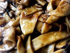 -上海都市菜园