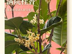 -北京市劳动人民文化宫(太庙)