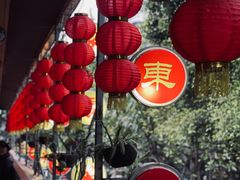 -大东北(武侯祠店)