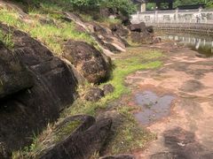 -广州七星岗古海岸遗址科学公园
