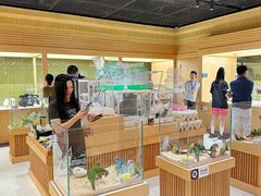 -帕帕拉兹宠物(亚洲旗舰店)