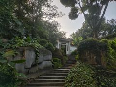 -广州兰圃