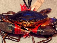 -Ministry of Crab•MOC(交子大道店)