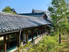 -天龙寺
