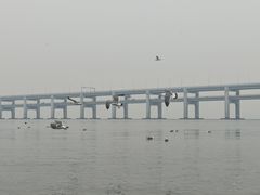 -黑石礁公园