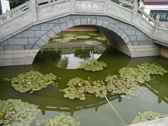 -卓刀泉寺