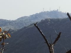 -香山公园