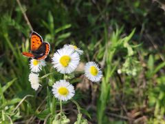 -广富林郊野公园